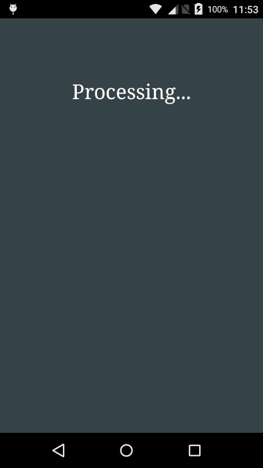 Payment Terminal Processing