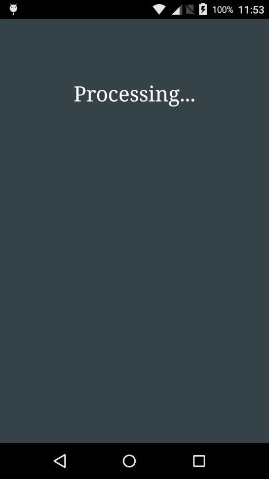 Payment Terminal Processing